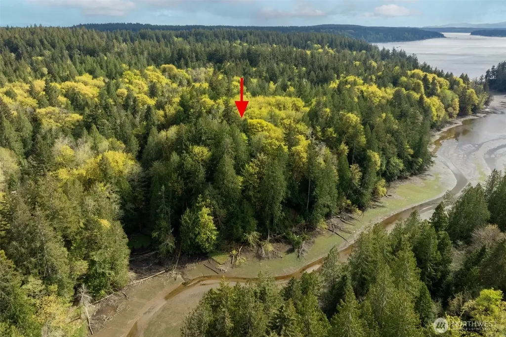 0 Reyonlds Road NW Vaughn WA 98394