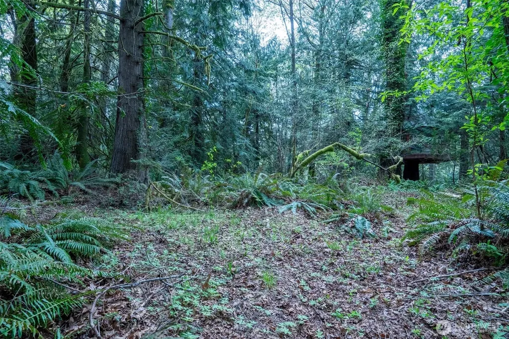 0 Reyonlds Road NW Vaughn WA 98394