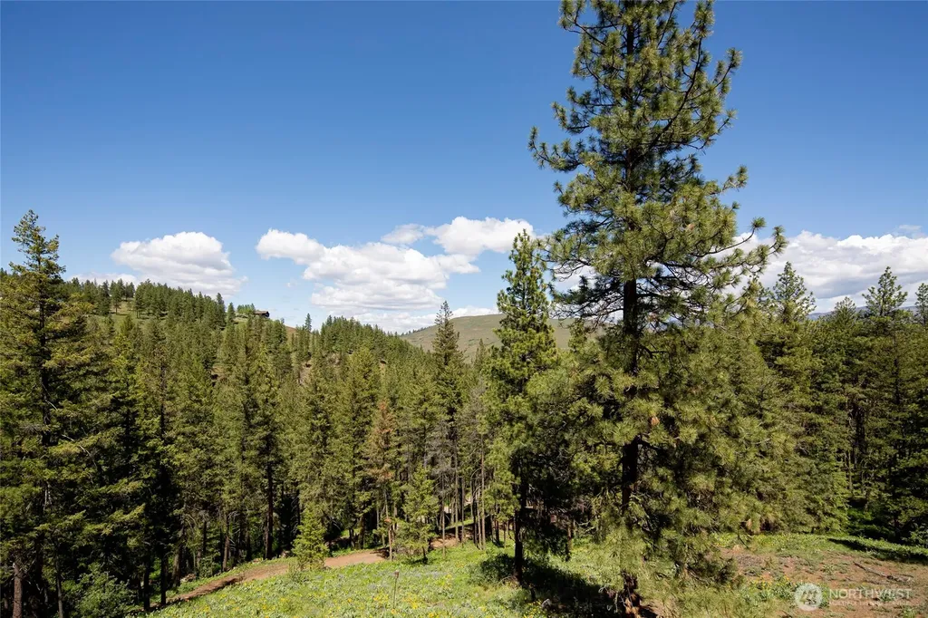 21 Timber Creek Lane Winthrop WA 98862