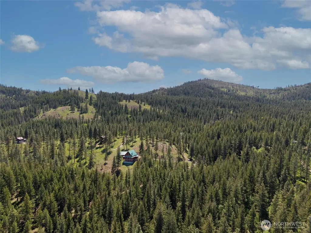 21 Timber Creek Lane Winthrop WA 98862