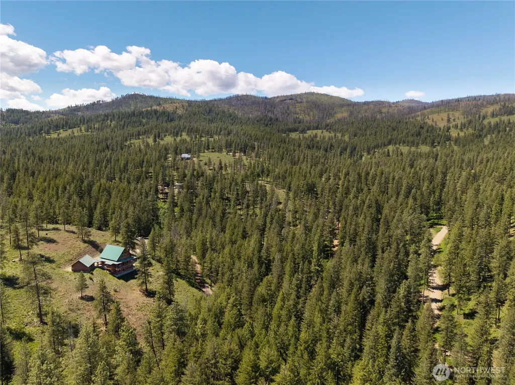 21 Timber Creek Lane Winthrop WA 98862