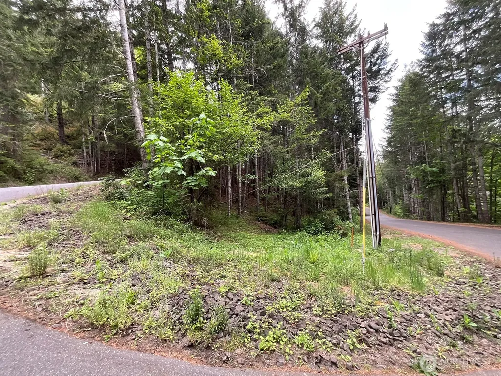 1 N Colony Surf Drive Lilliwaup WA 98555