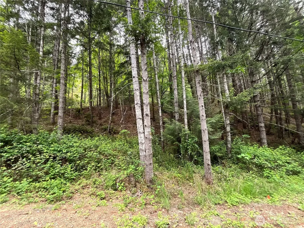 1 N Colony Surf Drive Lilliwaup WA 98555