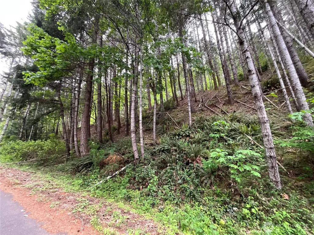 1 N Colony Surf Drive Lilliwaup WA 98555