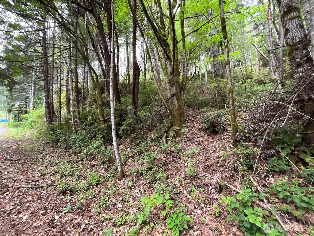 1 N Colony Surf Drive Lilliwaup WA 98555