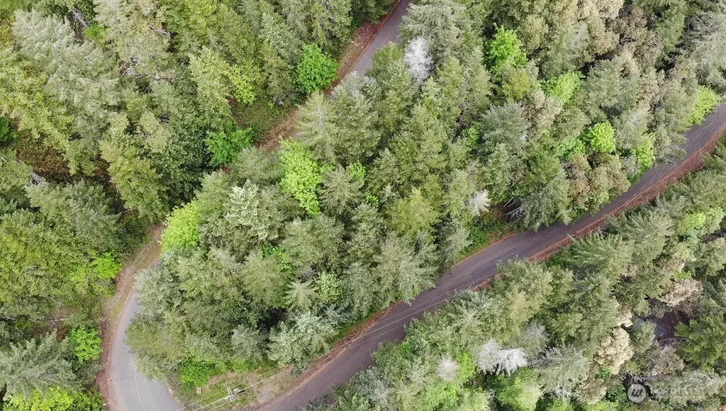 1 N Colony Surf Drive Lilliwaup WA 98555