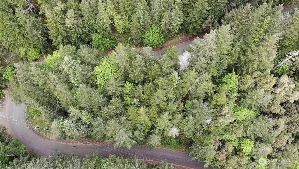 1 N Colony Surf Drive Lilliwaup WA 98555
