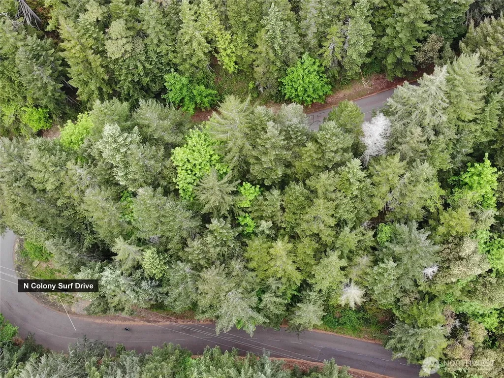 1 N Colony Surf Drive Lilliwaup WA 98555