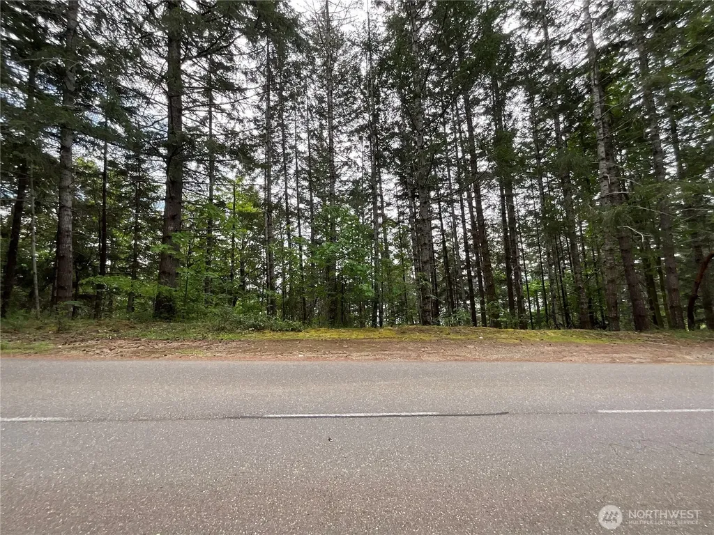 1 N Colony Surf Drive Lilliwaup WA 98555