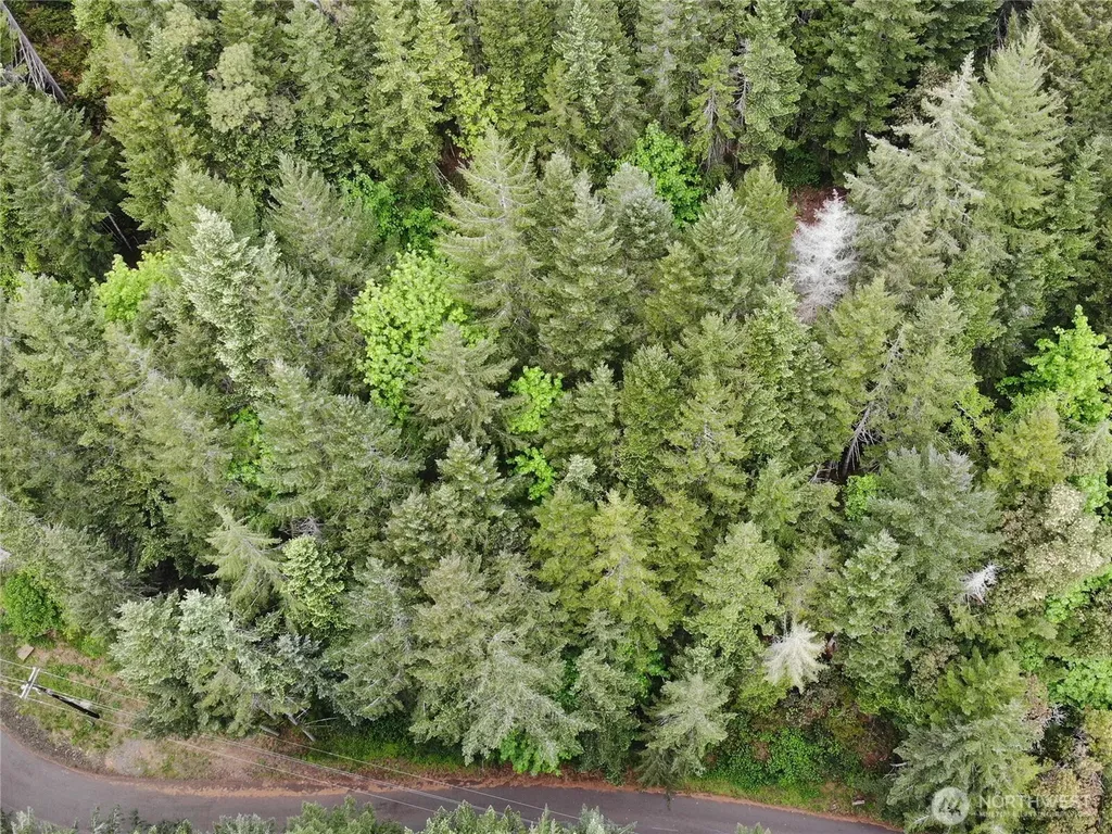 1 N Colony Surf Drive Lilliwaup WA 98555