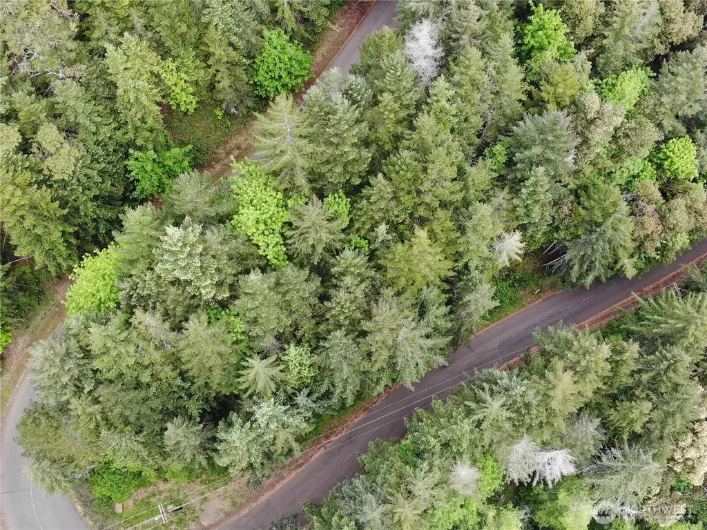 1 N Colony Surf Drive Lilliwaup WA 98555