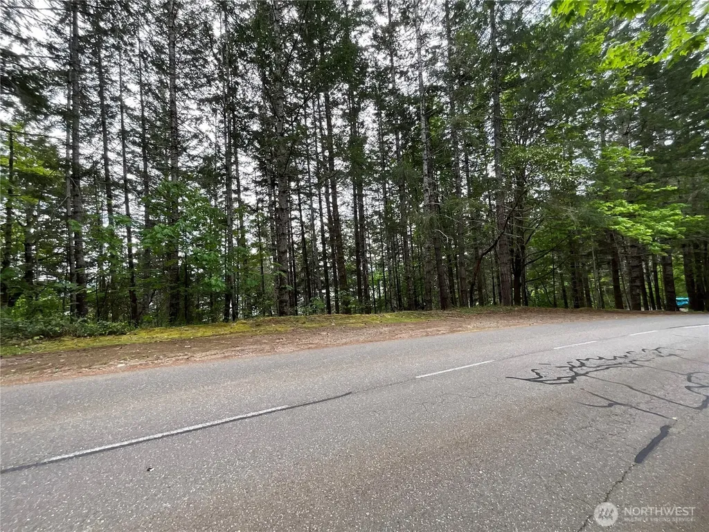 1 N Colony Surf Drive Lilliwaup WA 98555