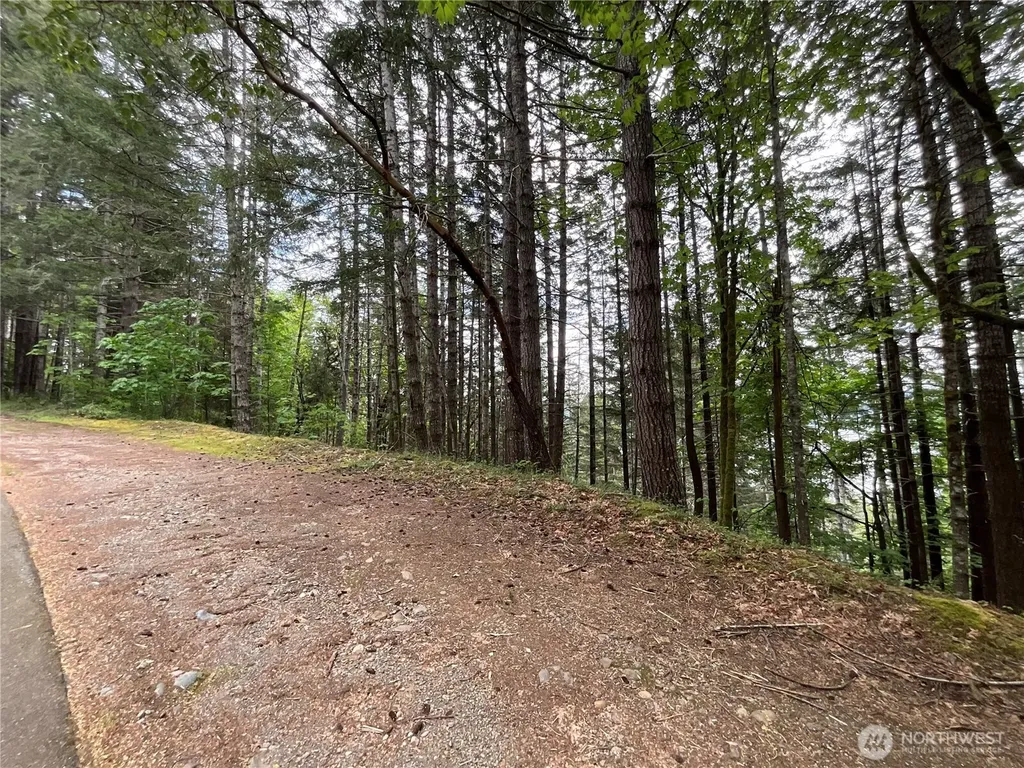 1 N Colony Surf Drive Lilliwaup WA 98555