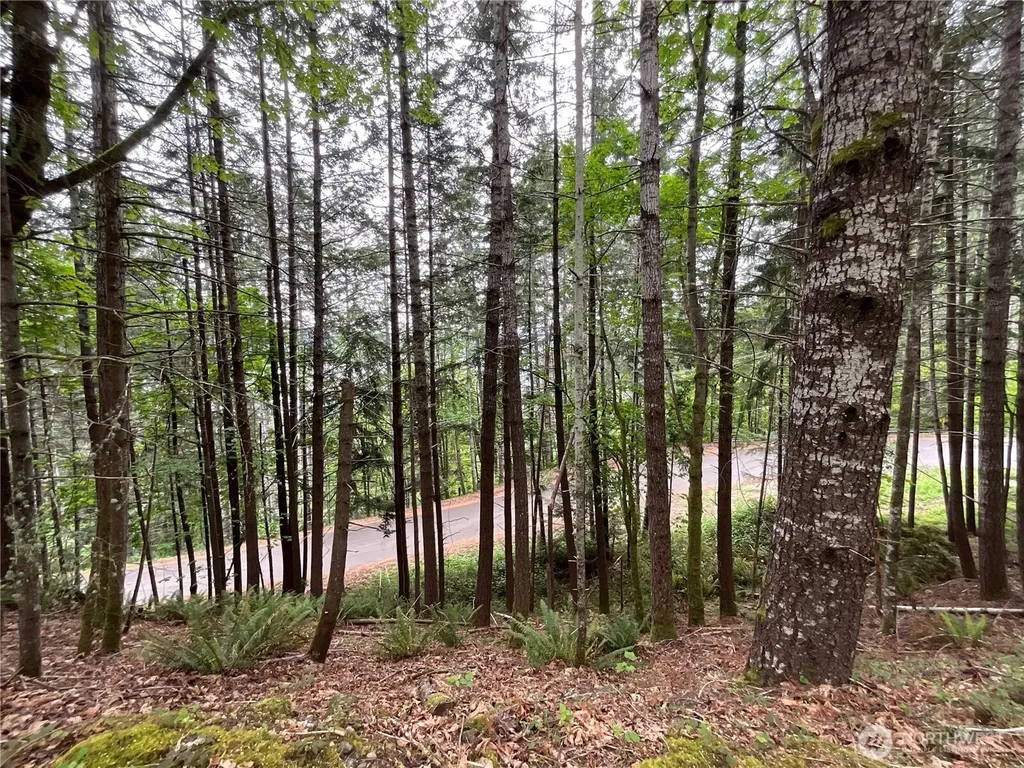 1 N Colony Surf Drive Lilliwaup WA 98555