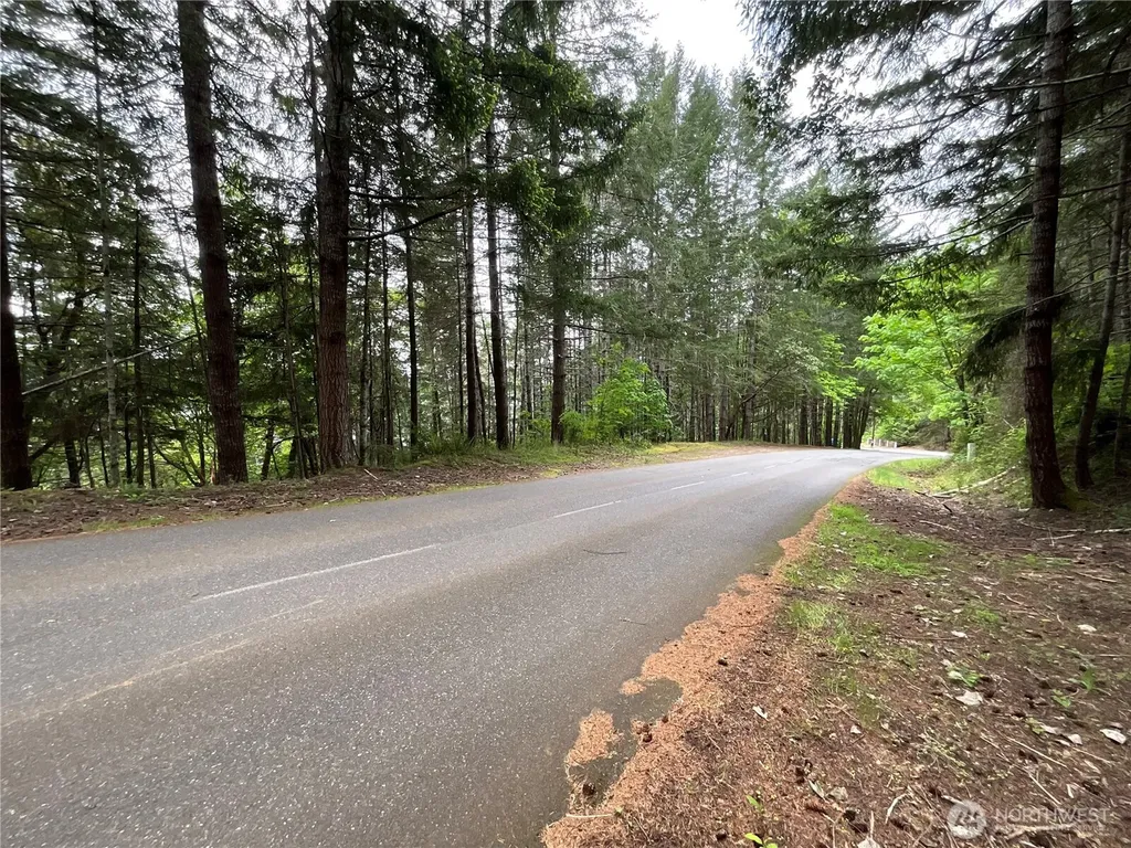 1 N Colony Surf Drive Lilliwaup WA 98555