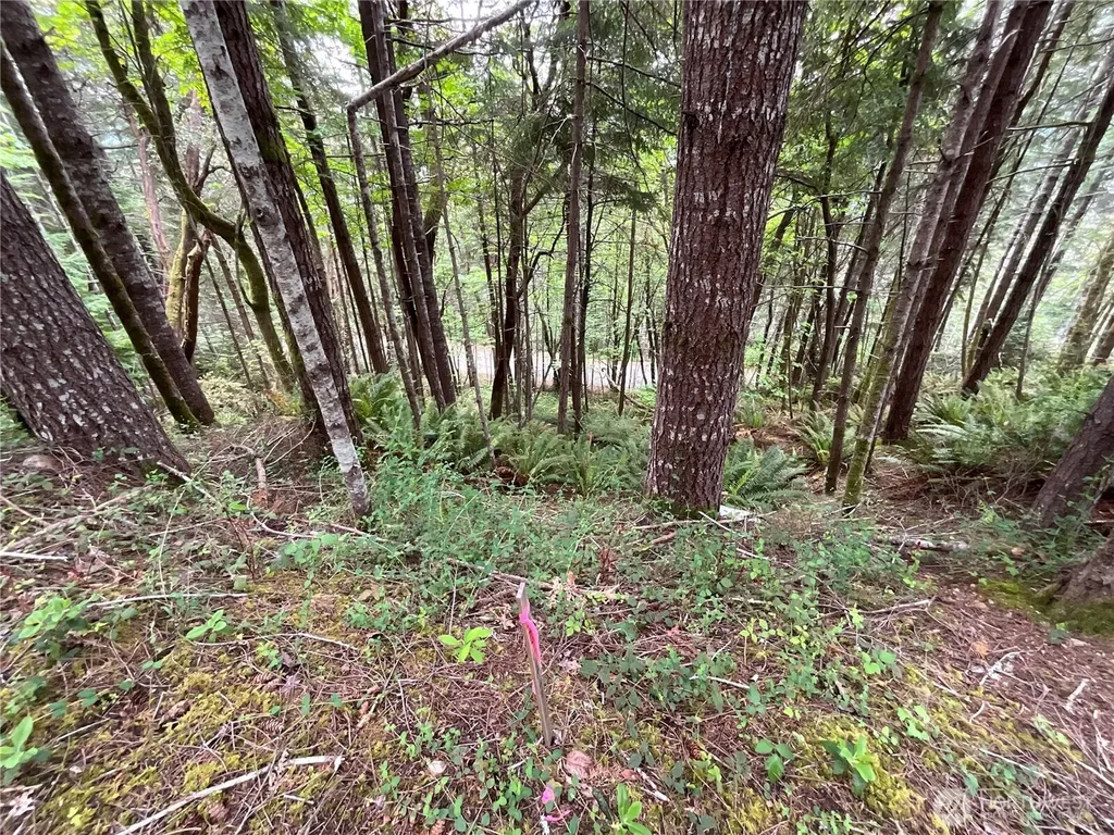1 N Colony Surf Drive Lilliwaup WA 98555