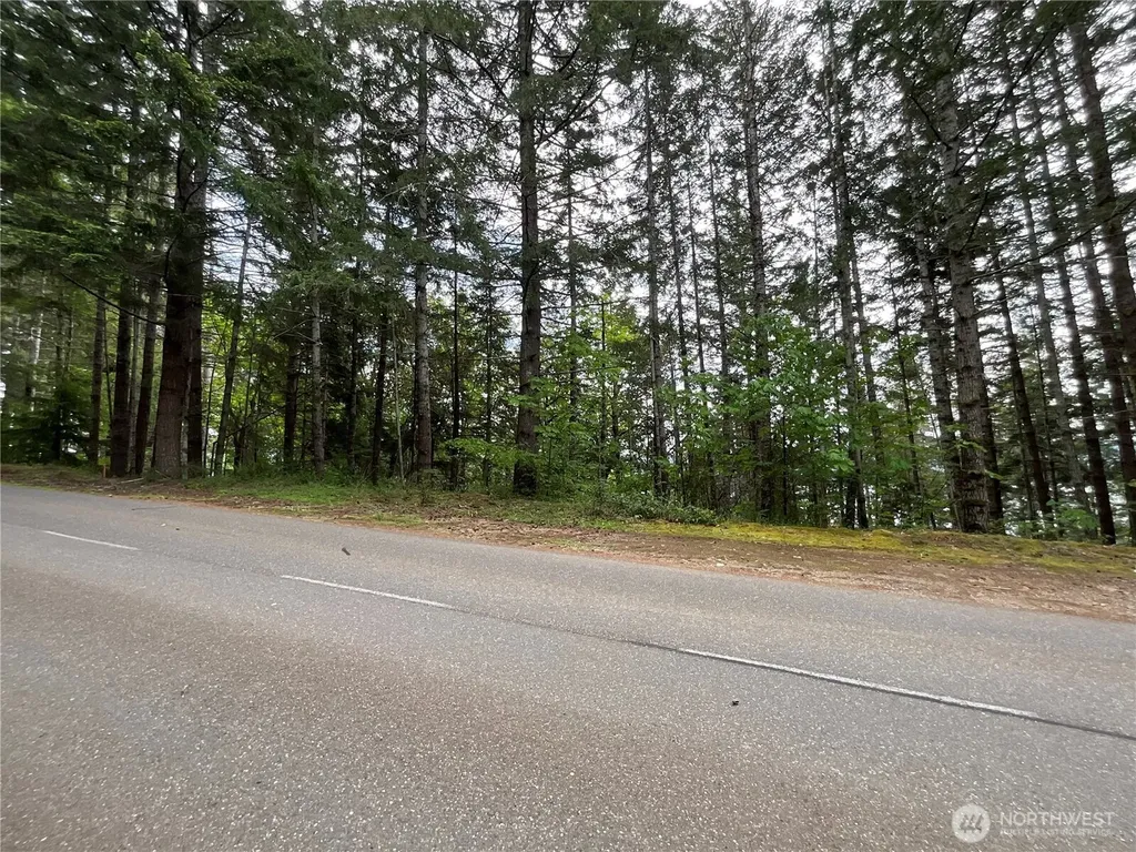 1 N Colony Surf Drive Lilliwaup WA 98555