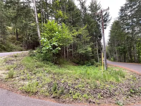 1 N Colony Surf Drive Lilliwaup WA 98555