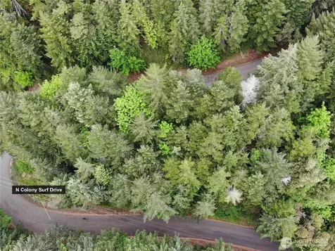 1 N Colony Surf Drive Lilliwaup WA 98555
