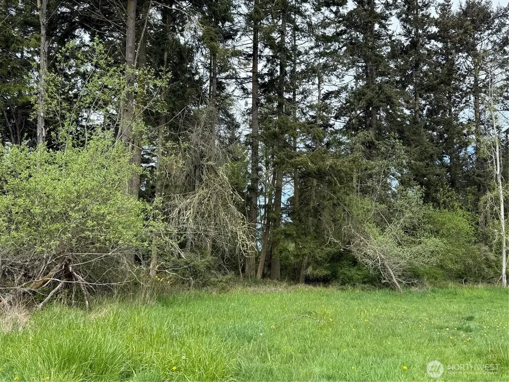 3 Xx Bay View Street Sequim WA 98382