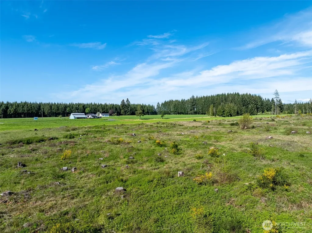 0 Mcglaughlin Road Winlock WA 98596