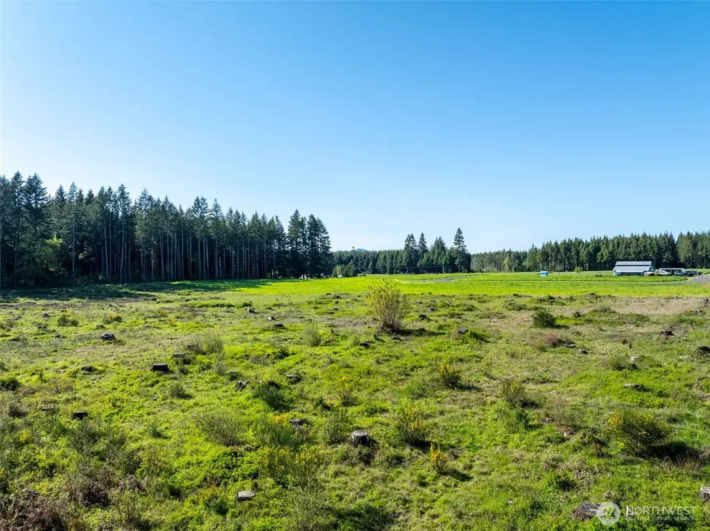 0 Mcglaughlin Road Winlock WA 98596