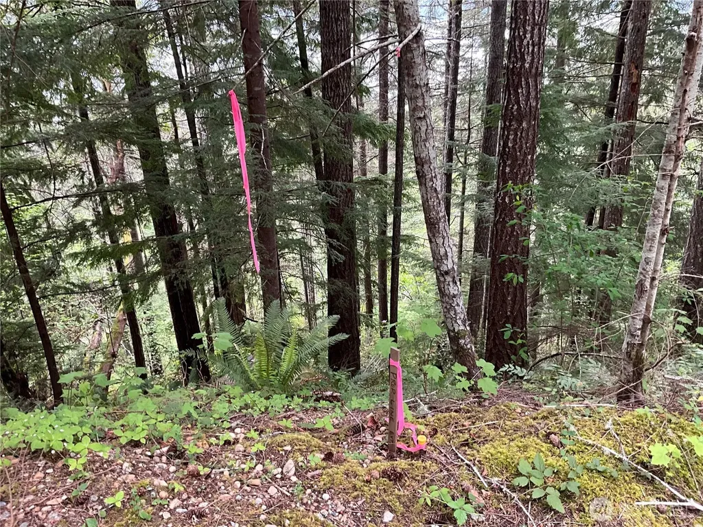 6 X N Colony Surf Drive Lilliwaup WA 98555
