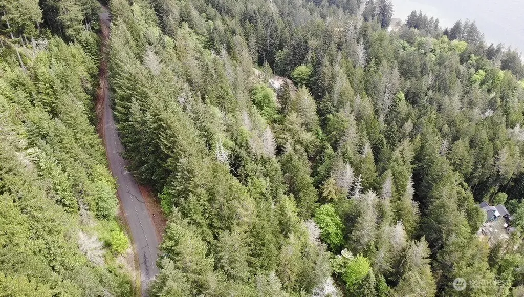 6 X N Colony Surf Drive Lilliwaup WA 98555