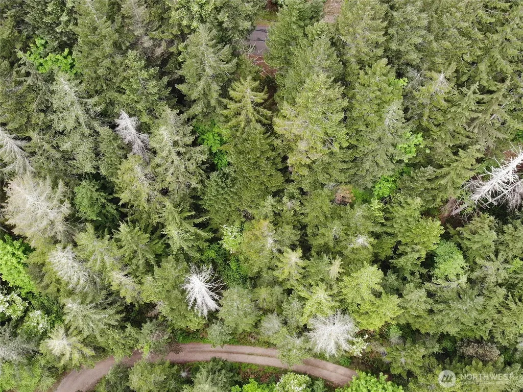 6 X N Colony Surf Drive Lilliwaup WA 98555