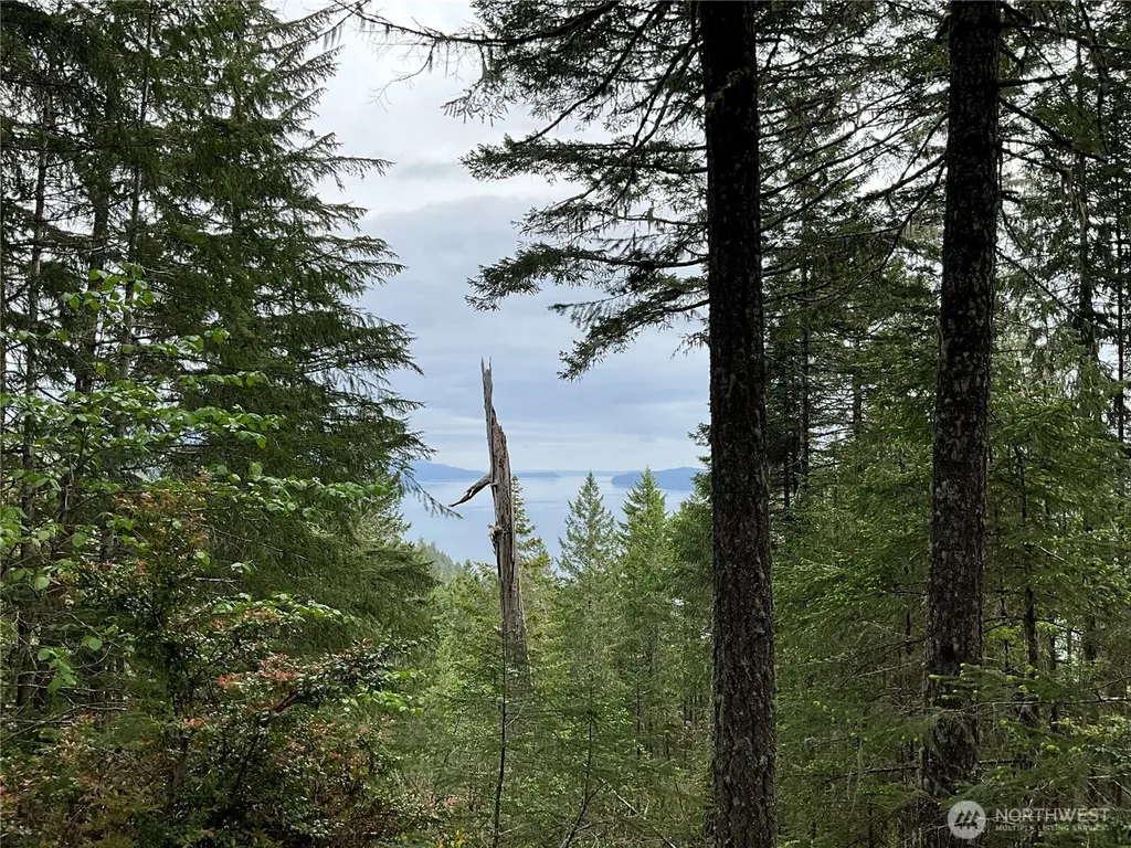6 X N Colony Surf Drive Lilliwaup WA 98555