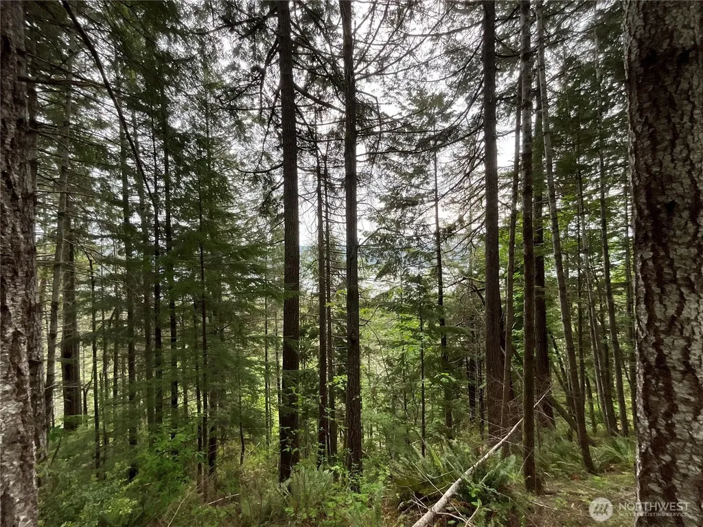 6 X N Colony Surf Drive Lilliwaup WA 98555