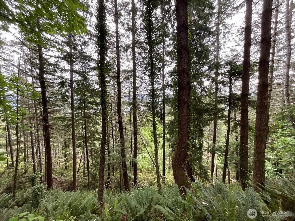 6 X N Colony Surf Drive Lilliwaup WA 98555