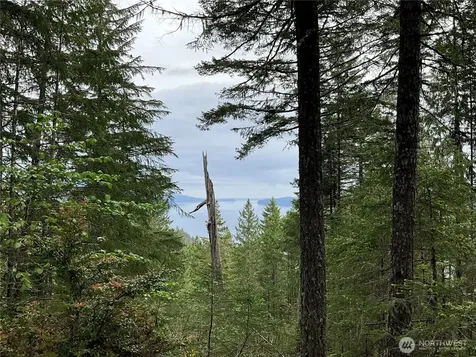 6 X N Colony Surf Drive Lilliwaup WA 98555