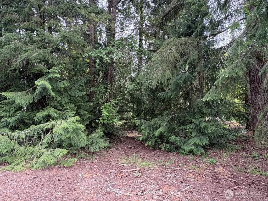 110 Rainier Court Chehalis WA 98532