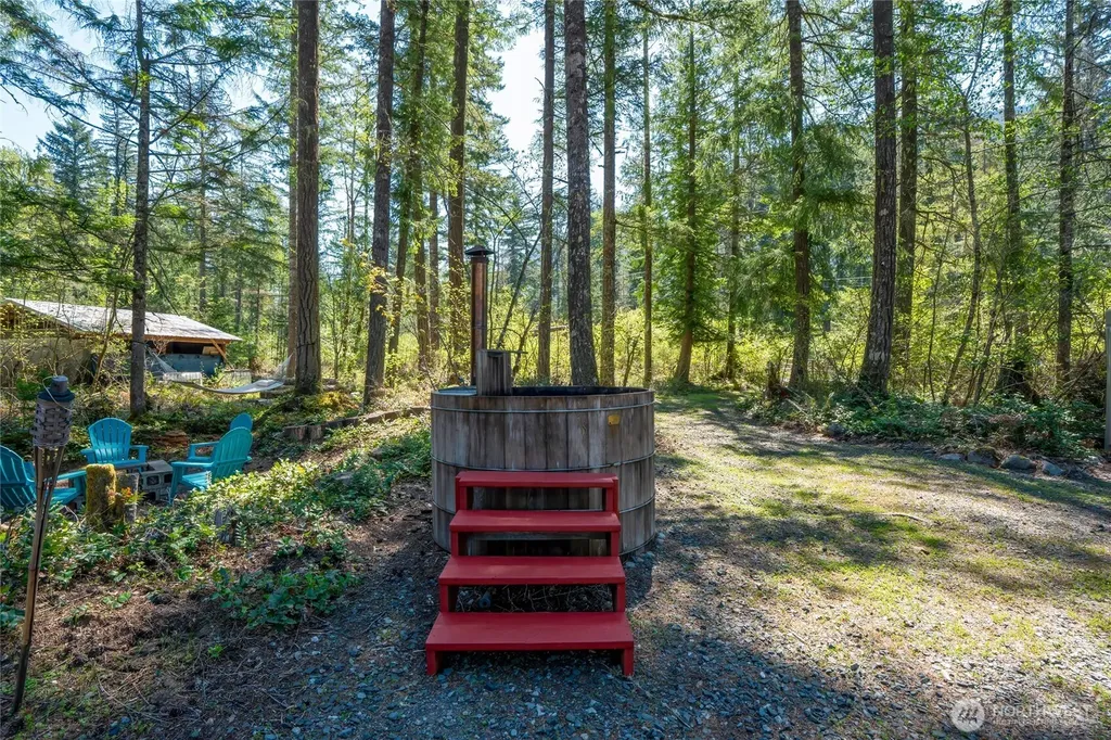 271 Skate Creek Road Ashford WA 98304