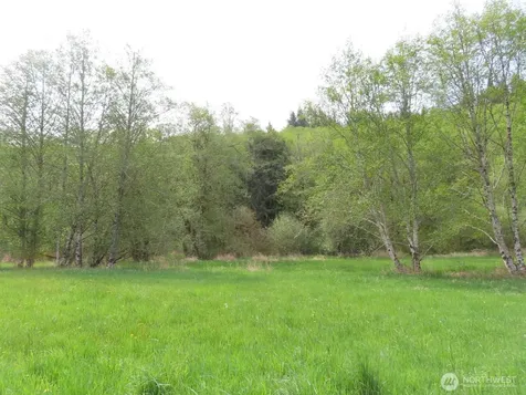 0 Hagen Road Mossyrock WA 98645