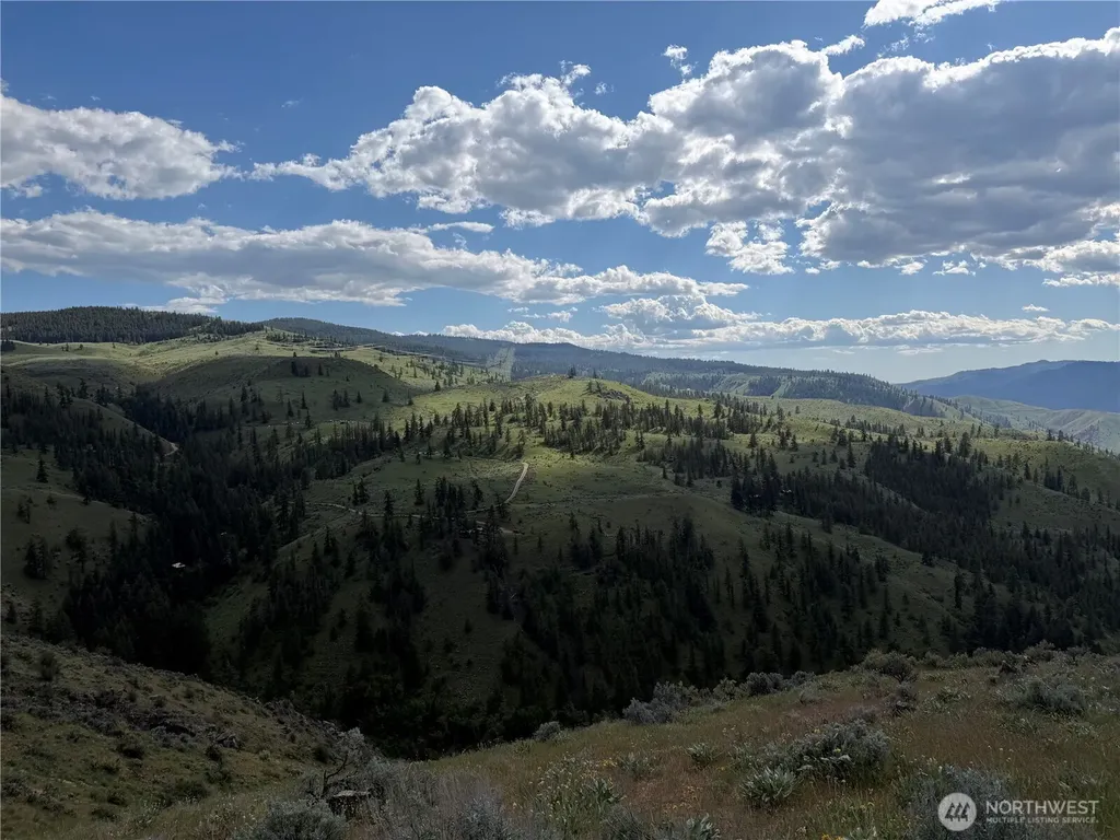 0 Tyee View Loop Waterville WA 98858