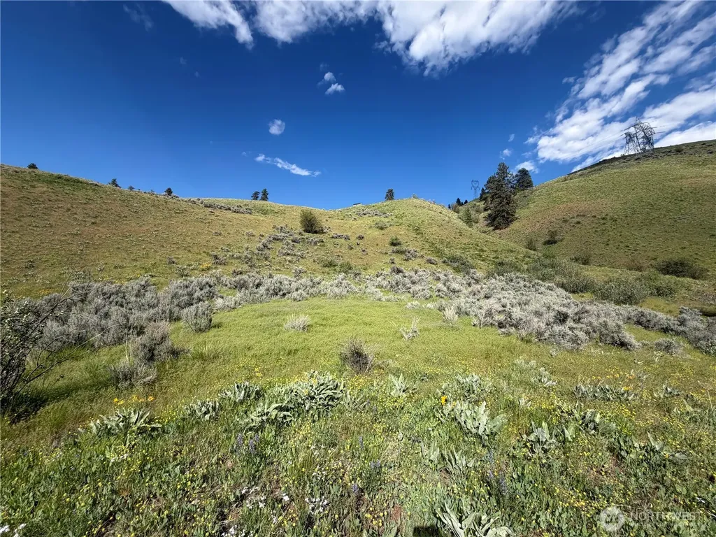 0 Tyee View Loop Waterville WA 98858