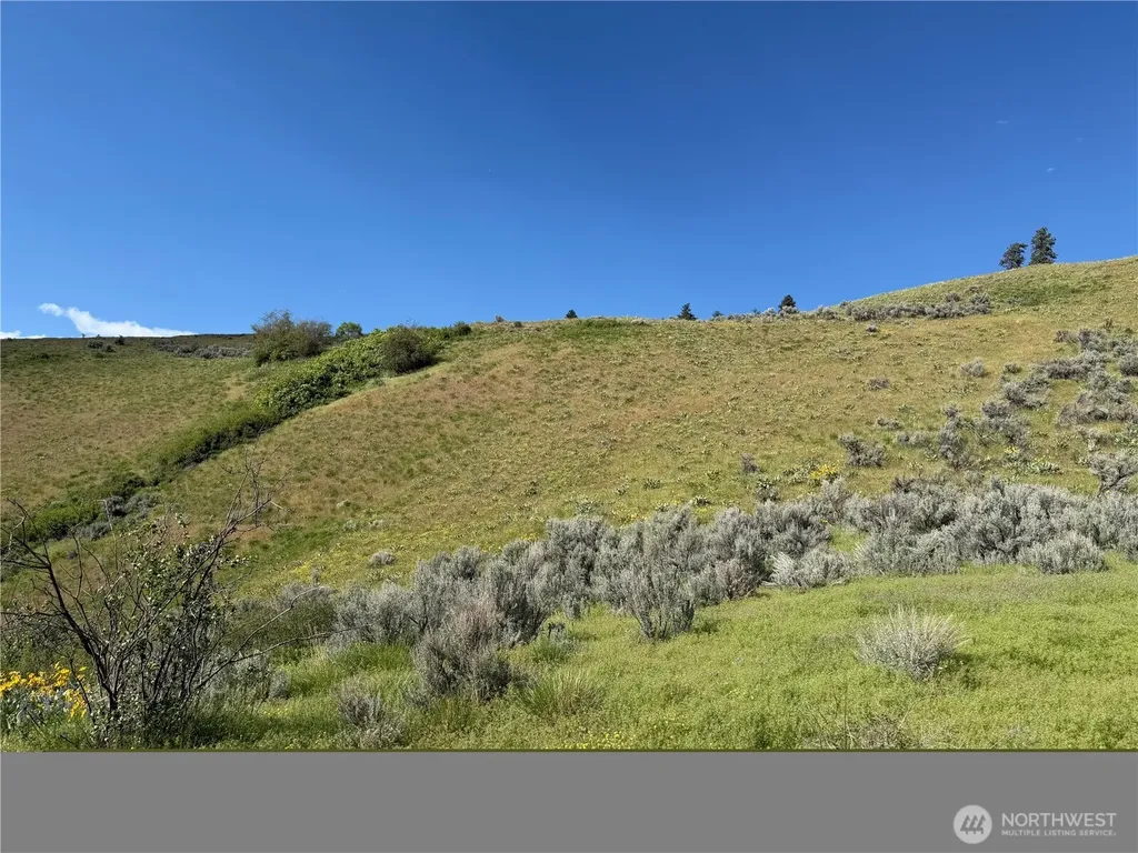 0 Tyee View Loop Waterville WA 98858