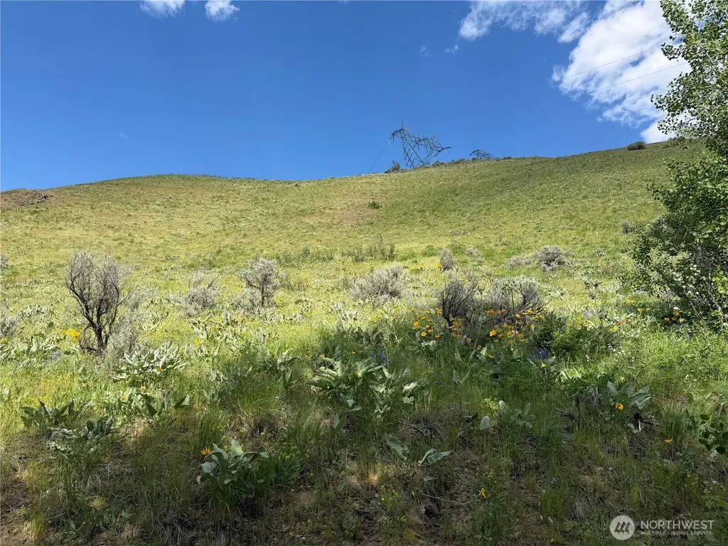 0 Tyee View Loop Waterville WA 98858
