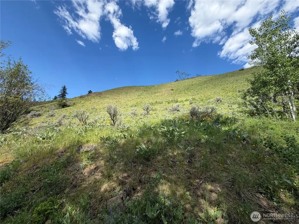 0 Tyee View Loop Waterville WA 98858