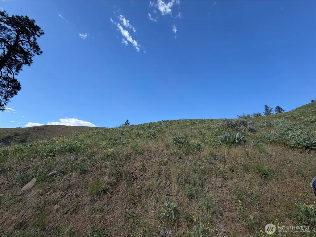 0 Tyee View Loop Waterville WA 98858