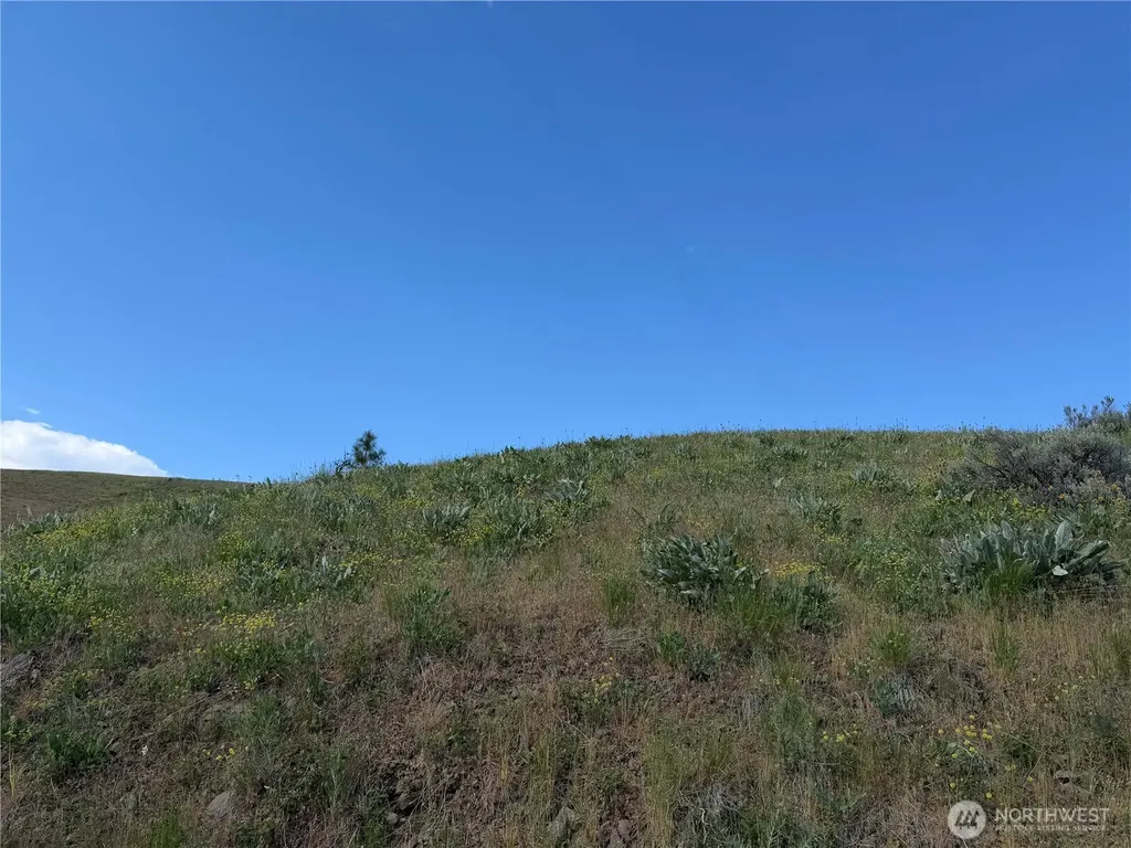 0 Tyee View Loop Waterville WA 98858