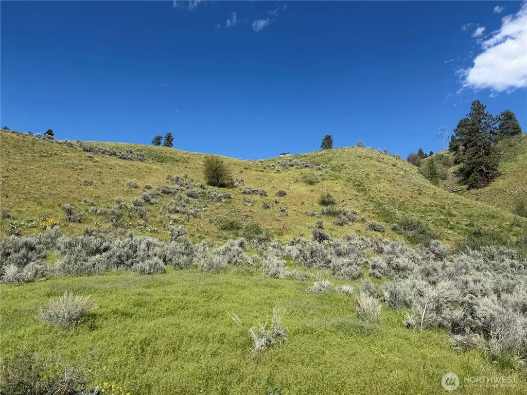 0 Tyee View Loop Waterville WA 98858