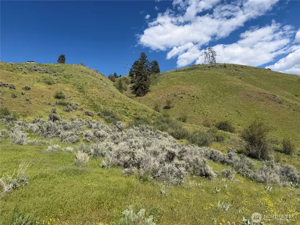 0 Tyee View Loop Waterville WA 98858