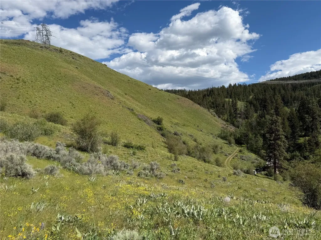 0 Tyee View Loop Waterville WA 98858