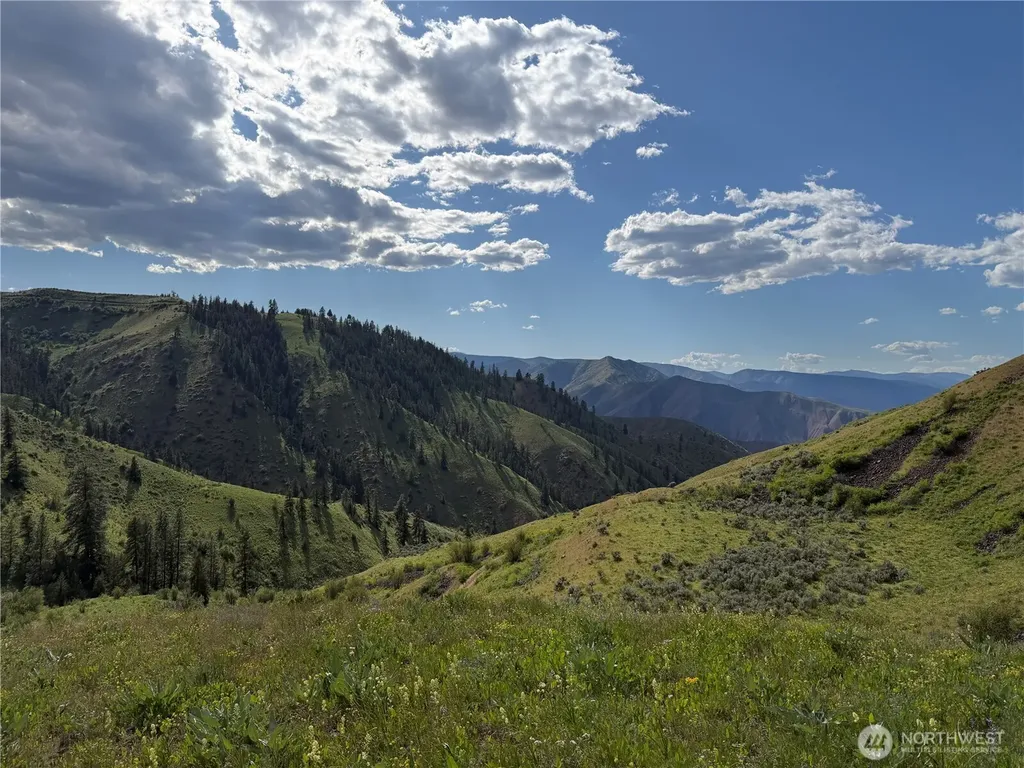 0 Tyee View Loop Waterville WA 98858