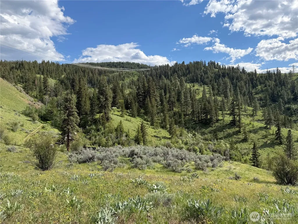 0 Tyee View Loop Waterville WA 98858