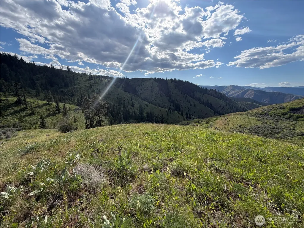 0 Tyee View Loop Waterville WA 98858