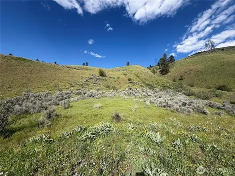 0 Tyee View Loop Waterville WA 98858